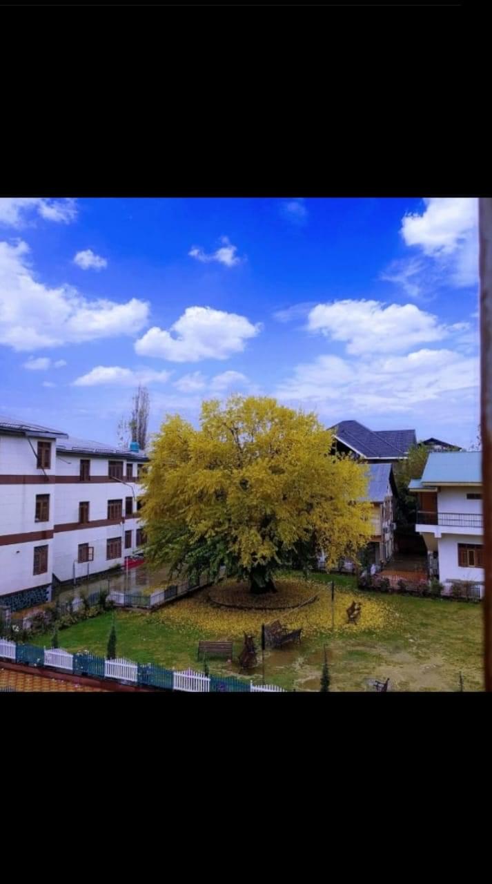 Gandhi Memorial College Srinagar Campus photo 1